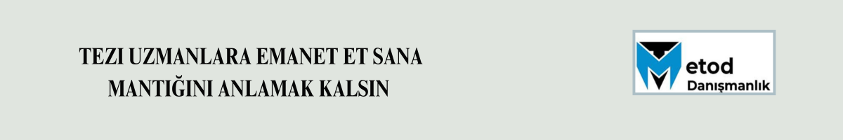 Tez Danışmanlığı - Metod Danışmanlık